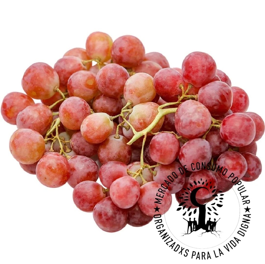 UVA RED GLOVE  1kg ALTA RED -RIO COLORADO