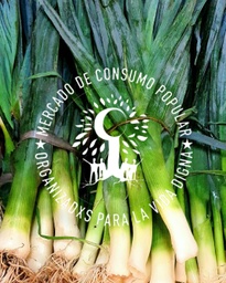 Puerro AGROECOLÓGICO - 1 atado - Prod. 1610