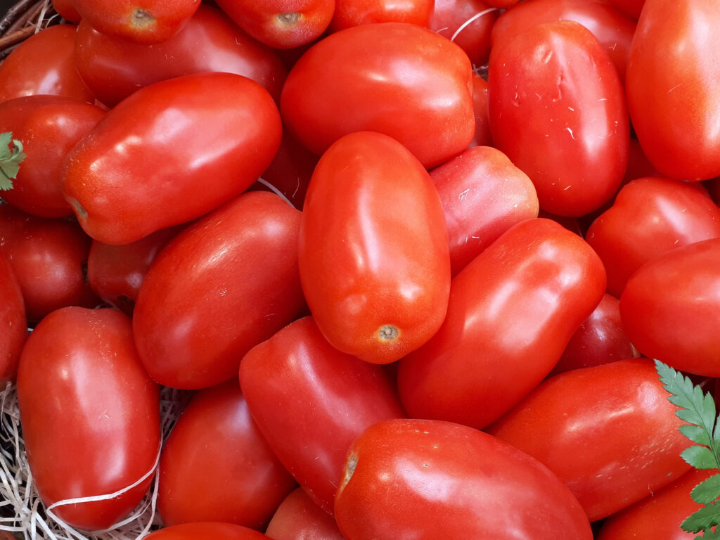 Tomate perita/redondo AGROECOLÓGICO - 1kg