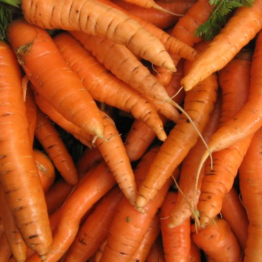 zanahoria-sin-hojas-naranja-kg