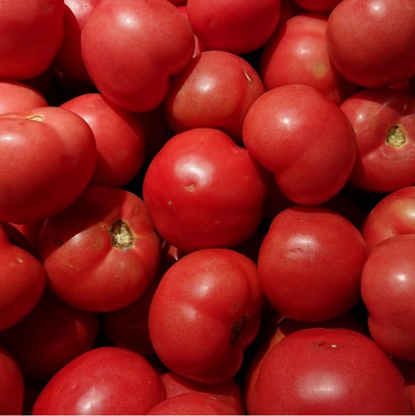 tomate redondo